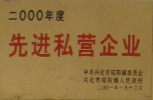 2000M˽II