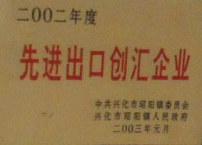 2002M(jn)ڄ(chung)RI(y)